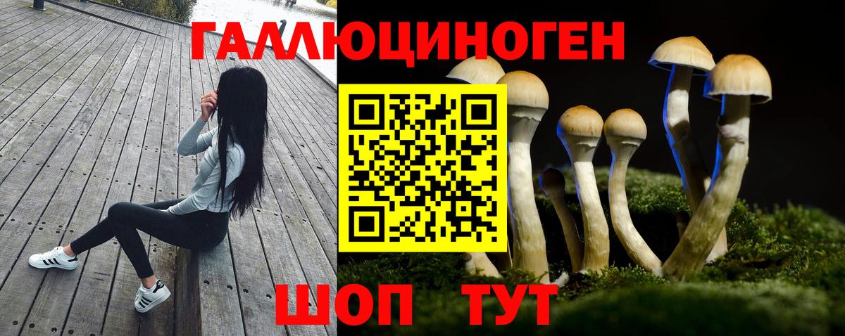 Каменск-Уральский  Галлюциногенные грибы MAGIC MUSHROOMS  Вход с VPN 
